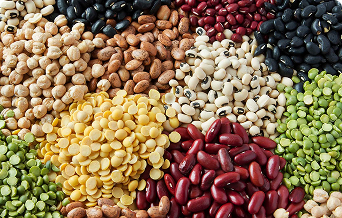 Pulses